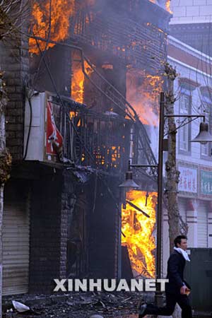 西藏最新事件，雪域高原的溫馨日常觀察