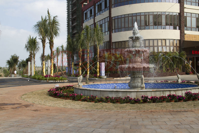 棕櫚水城最新動態(tài)，塑造理想生活新標桿！