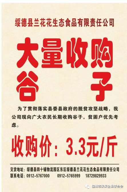 淄川最新財務招聘,職業(yè)發(fā)展的理想選擇