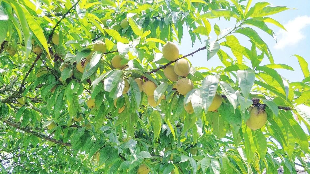 簡(jiǎn)暗最新小說(shuō)揭秘科技新品，智能生活體驗(yàn)新紀(jì)元