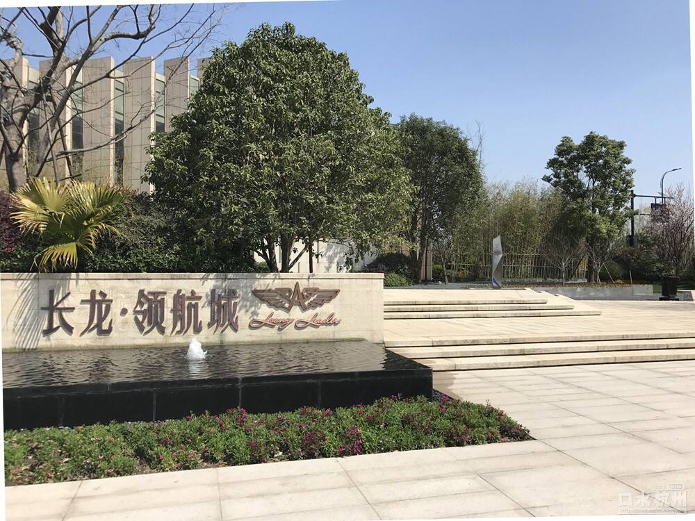 長龍領航最新動態(tài)，駕馭變革，開啟知識海洋的勵志之旅