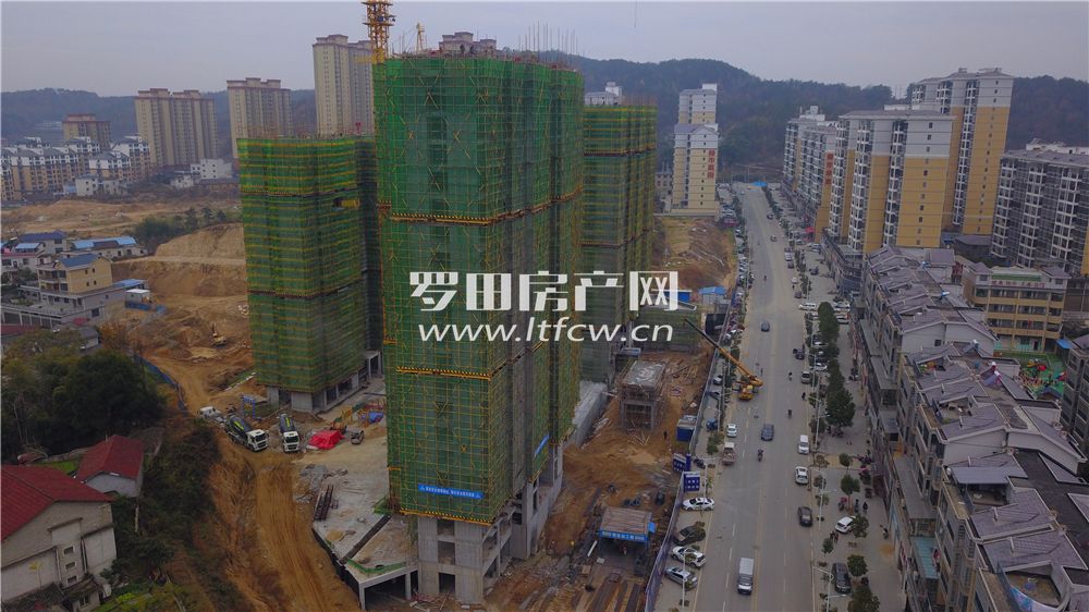 羅田最新房價揭秘，洞悉市場動態(tài)，掌握房價走勢！