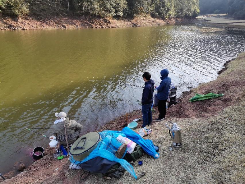 最新水庫(kù)釣魚(yú)視頻，探索釣魚(yú)樂(lè)趣與技巧全攻略