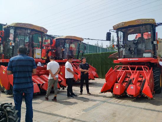 邳州玉米最新價格，時代見證下的市場動態(tài)