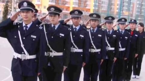 寧國最新保安招聘及其探討，行業(yè)現(xiàn)狀與發(fā)展趨勢分析