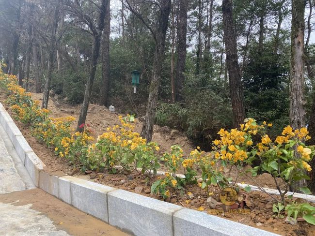 桂平手工，傳統(tǒng)與創(chuàng)新的完美交融