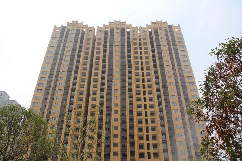 紫荊城邦最新動(dòng)態(tài)，揭開(kāi)未來(lái)生活新篇章的序幕