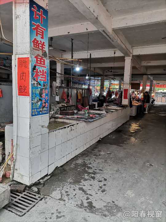 最新魚檔轉(zhuǎn)讓，把握商機，輕松開啟水產(chǎn)養(yǎng)殖事業(yè)之路