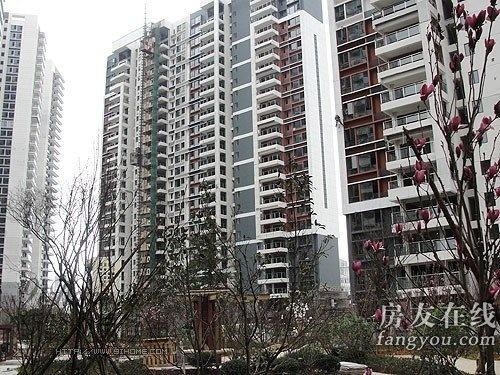 綠地長島公寓最新價格揭秘，小巷深處的隱藏寶藏