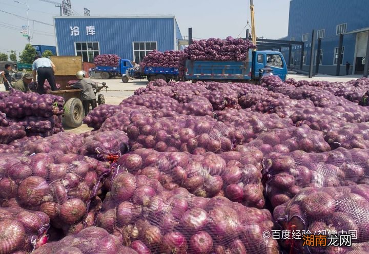 工程廠房燈具 第306頁