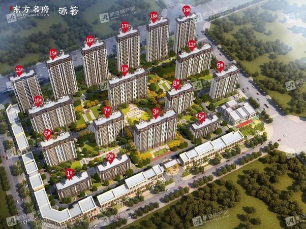 明光東郡最新動(dòng)態(tài)，友情的綻放與家的溫馨日常