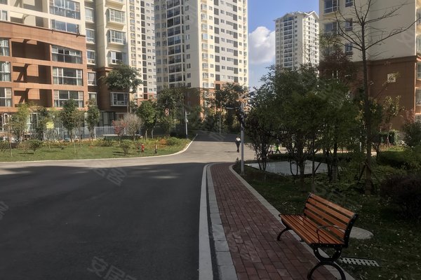 建禮家園最新動(dòng)態(tài)，小巷中的隱藏瑰寶揭秘