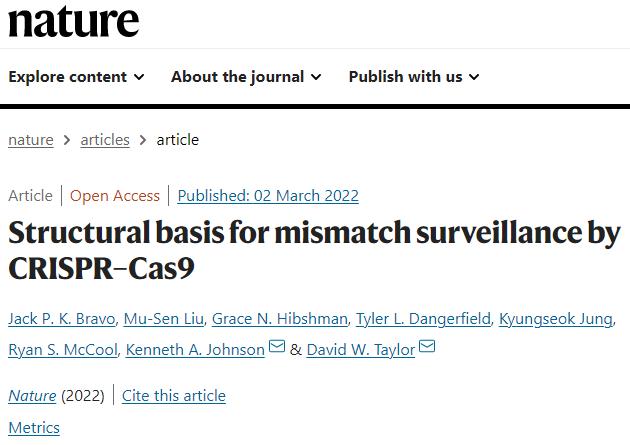 新澳開獎(jiǎng)結(jié)果資料查詢,安全設(shè)計(jì)解析說明法_PIA47.734觸感版