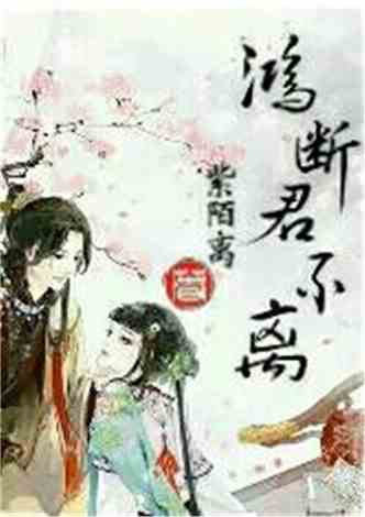 沈南汐最新小說，知識的力量，成就夢想的翅膀之路