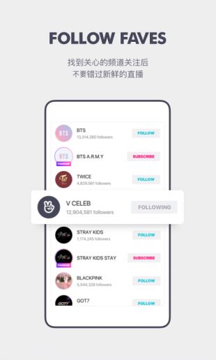 VAPP最新版下載，觀點(diǎn)論述與獲取渠道