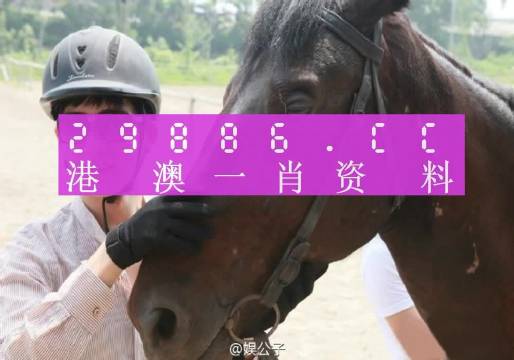 一點紅澳門一肖一碼,高度協(xié)調實施_YXW83.376護眼版