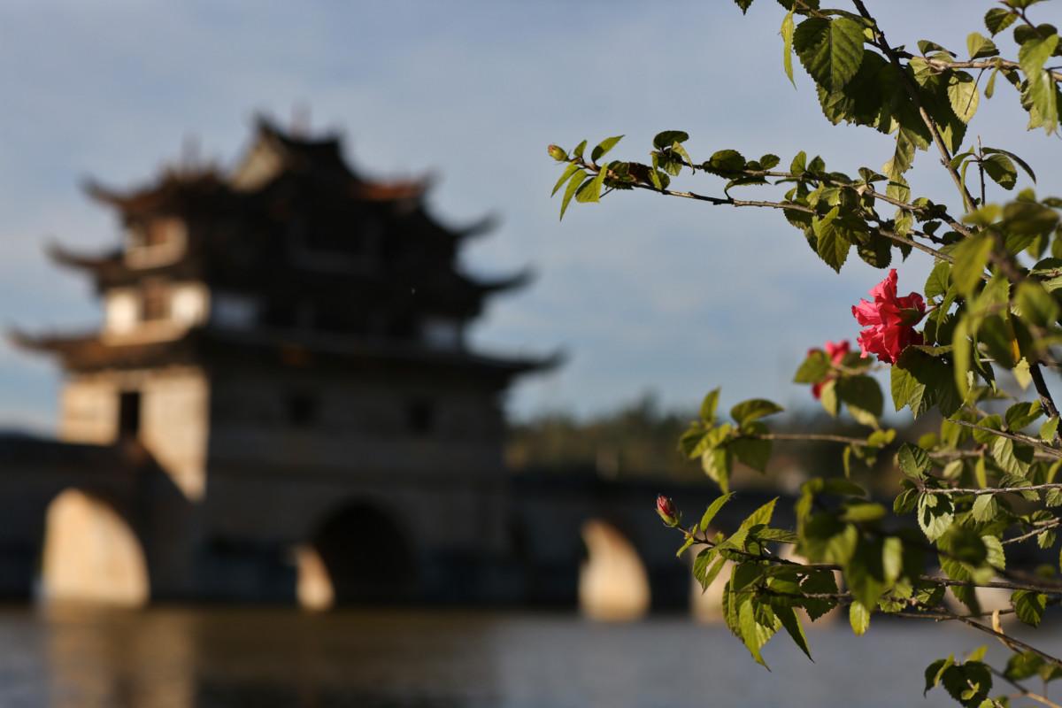 大冰最新力作，智能生活新紀(jì)元——科技與生活的完美融合