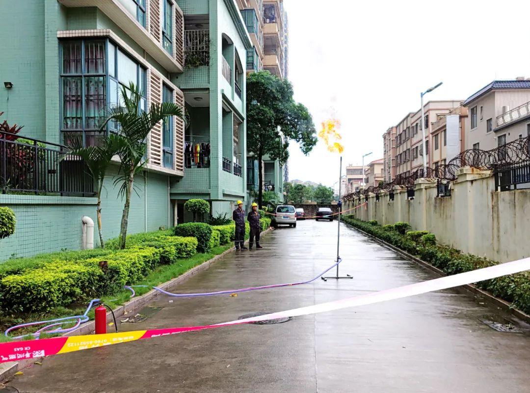 中山東鳳佛奧最新動態(tài)，自然美景的探索之旅，尋找內心平和與寧靜