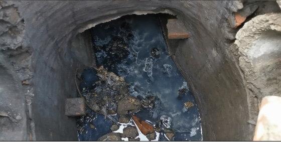 遂寧市電子廠最新招聘，與自然共舞，探尋內(nèi)心寧靜之旅