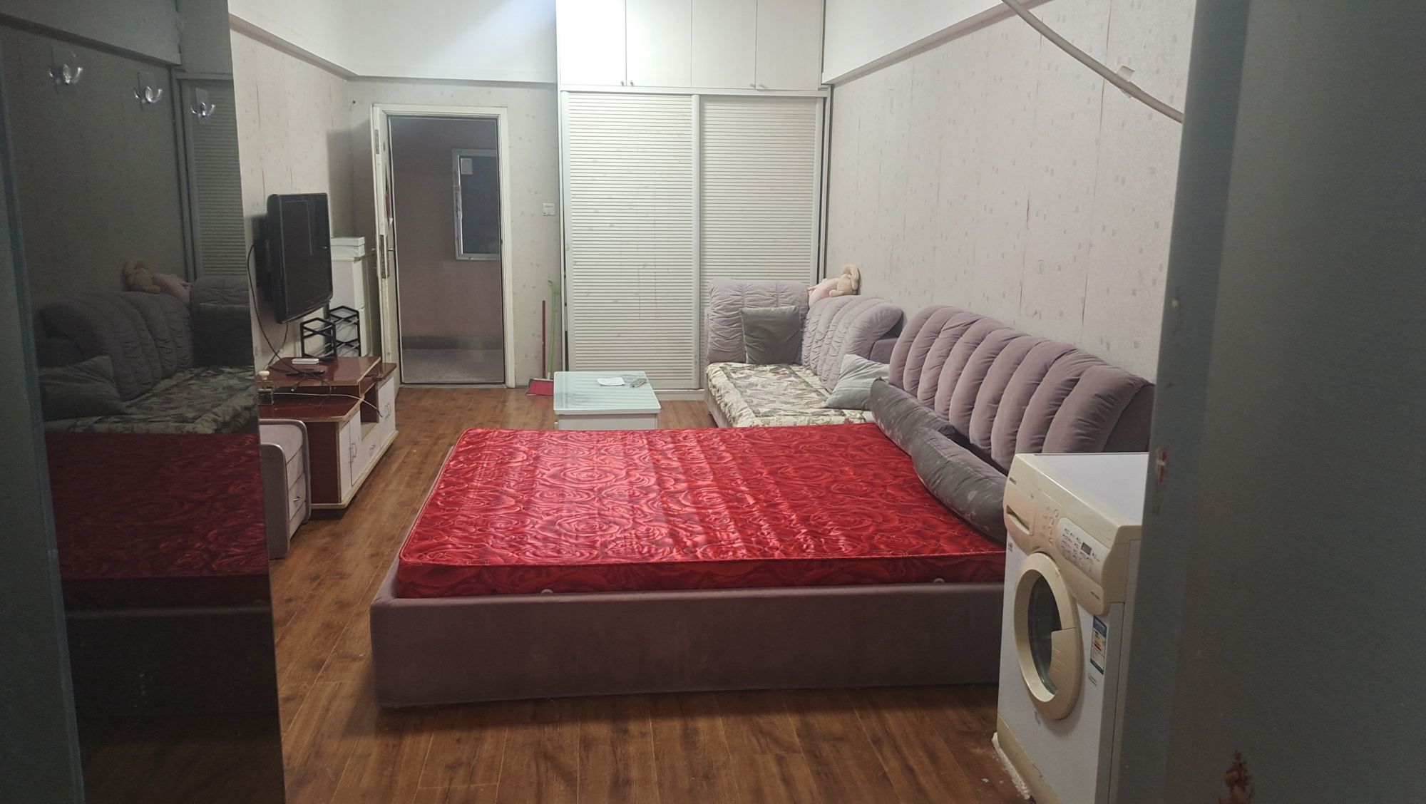 袁花最新二手房，科技宅的理想生活之選，前沿房源搶購體驗(yàn)