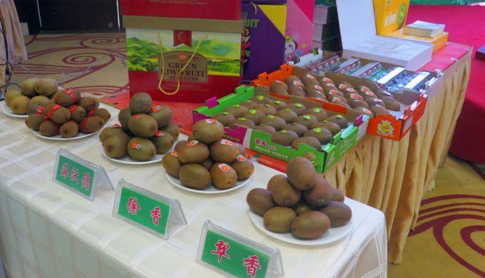 嘉興對接上海最新進展，城市崛起中的自信與成就感展現(xiàn)新面貌