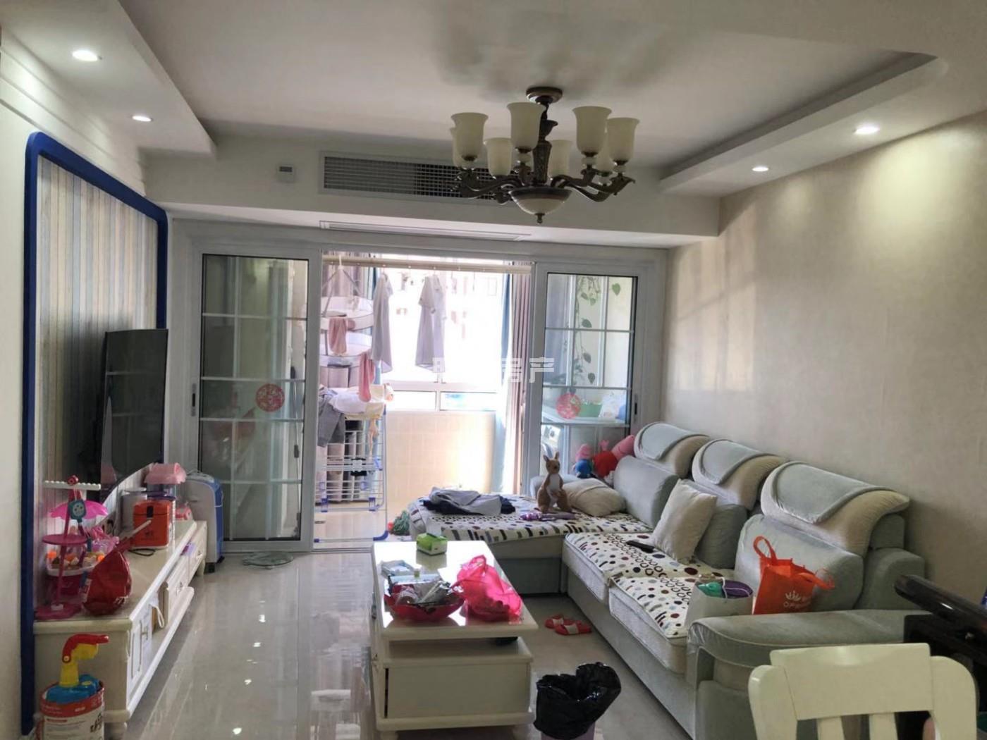 東坡最新個(gè)人二手房網(wǎng)，市場現(xiàn)象下的多元觀點(diǎn)深度探討