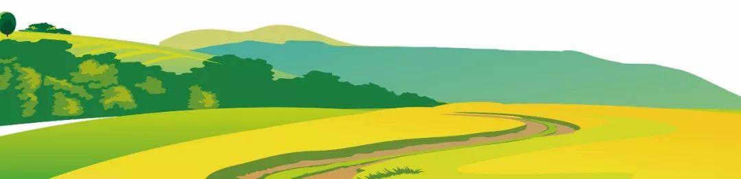 藍田縣未來藍圖，最新發(fā)展規(guī)劃揭秘