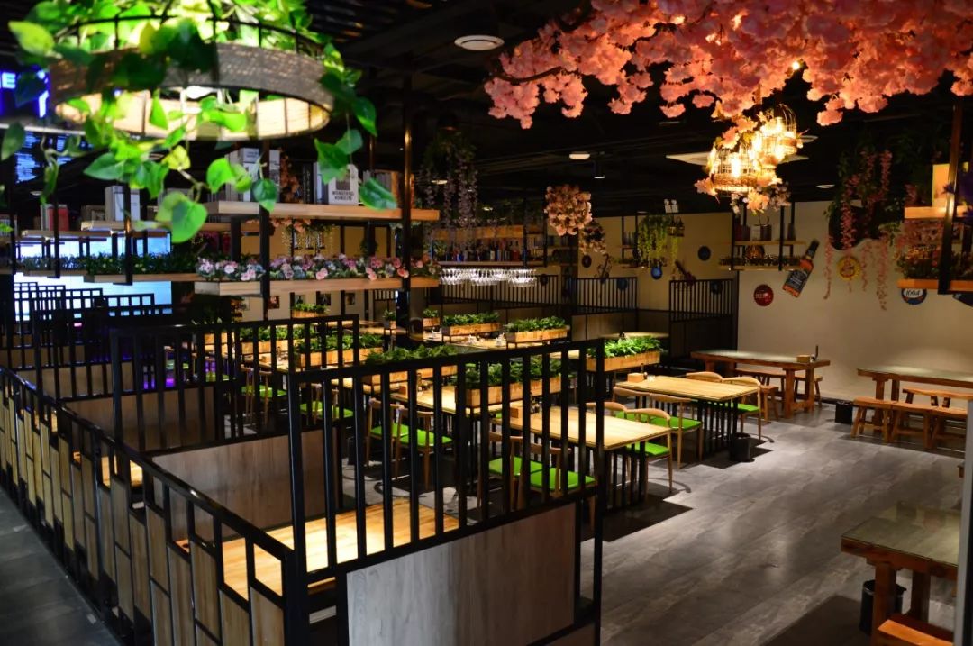 中餐廳最新一期音樂，熱門旋律與節(jié)目魅力的完美交融