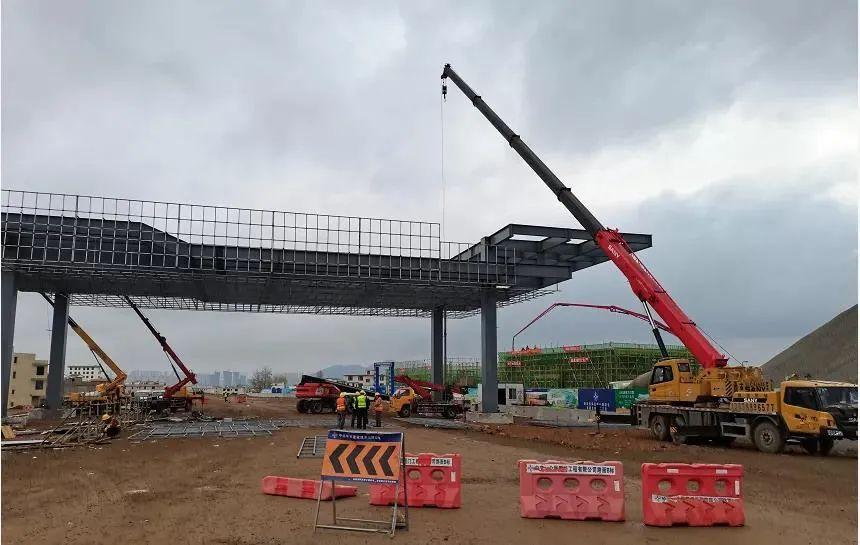 深度解析與探討，最新元龍劇情分析