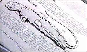 美國填尸最新進展，高科技重塑生活，未來科技魅力體驗