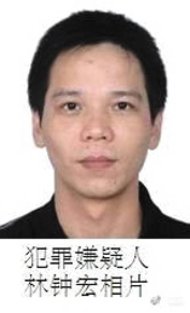 張宸案最新進展，城市生活的溫馨日常關(guān)注