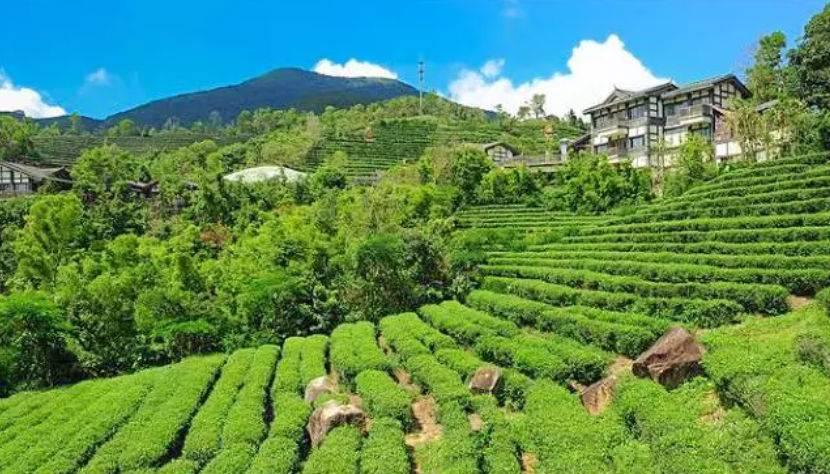 深圳驚喜活動溫情之旅，日常中的特別瞬間