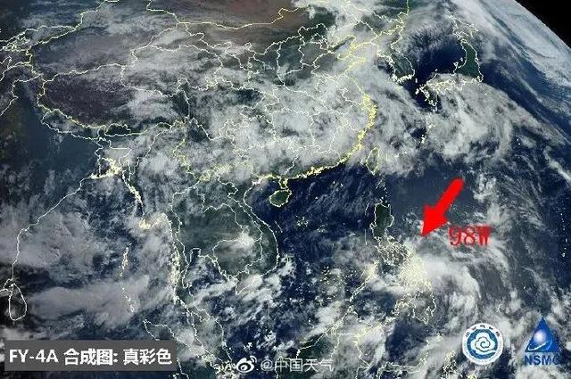 臺(tái)風(fēng)鸚鵡的最新動(dòng)態(tài)，逆風(fēng)翱翔的力量與學(xué)習(xí)魅力