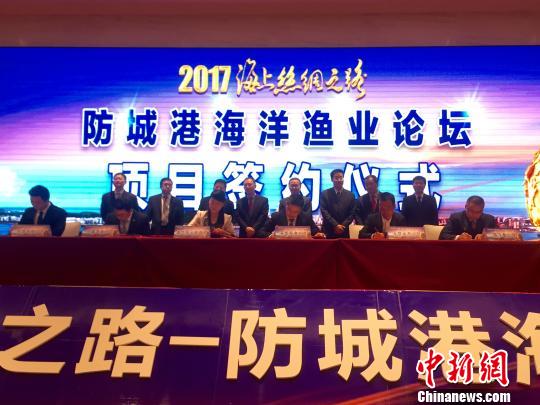 防誠(chéng)港最新,防誠(chéng)港的最新發(fā)展，機(jī)遇與挑戰(zhàn)并存