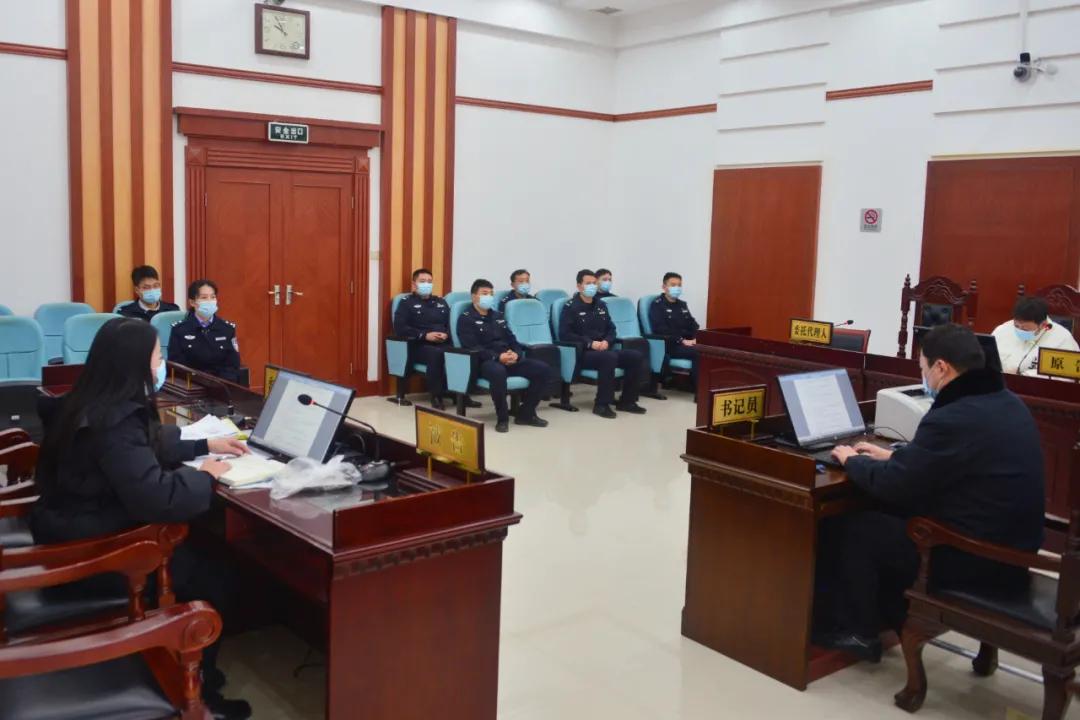 憲法案件最新動(dòng)態(tài)，小巷深處的情懷與特色小店的奇遇