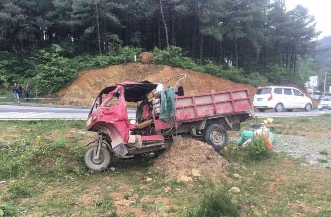 平山事故背后的溫馨故事，友情、愛與陪伴的奇遇