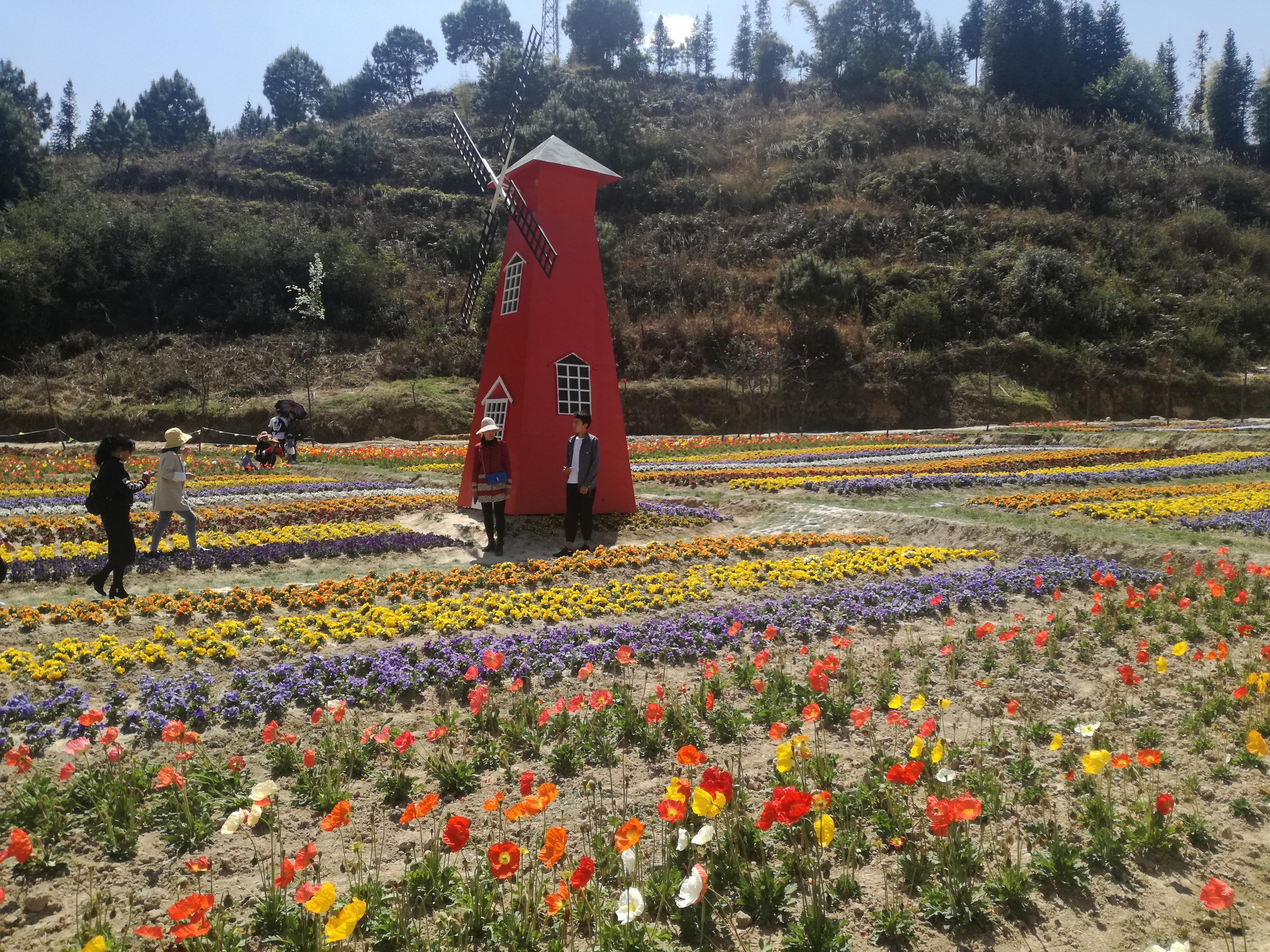 臨滄市最新探索，自然美景之旅，尋找內(nèi)心平和的旅程