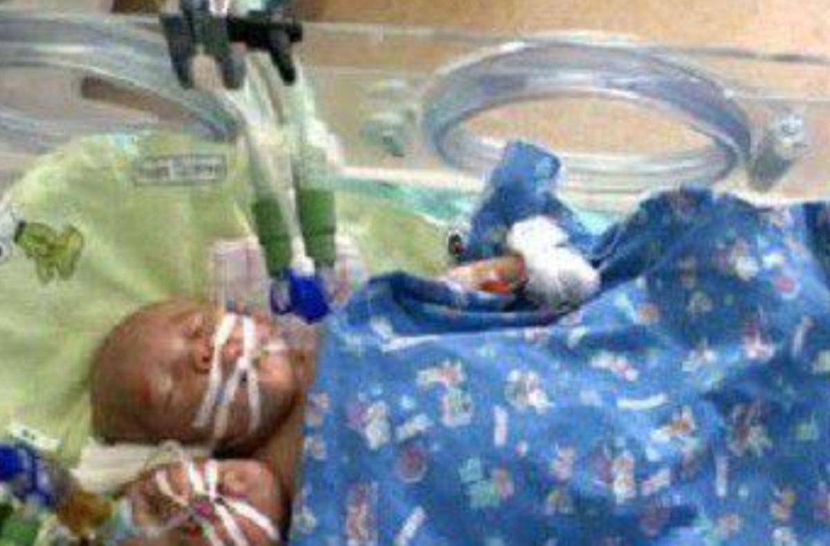 雙頭姐妹，時(shí)代背景下的傳奇故事最新進(jìn)展