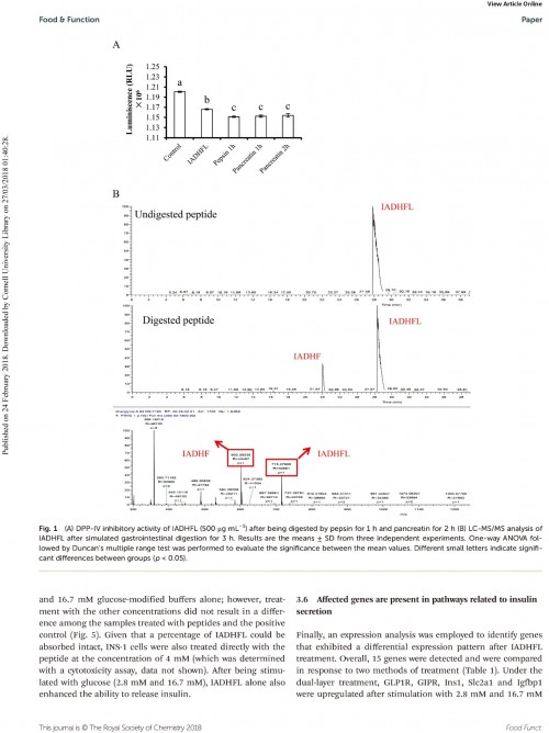 糖肽最新文獻(xiàn)，自然之旅的心靈探尋之旅，尋找內(nèi)心的寧靜