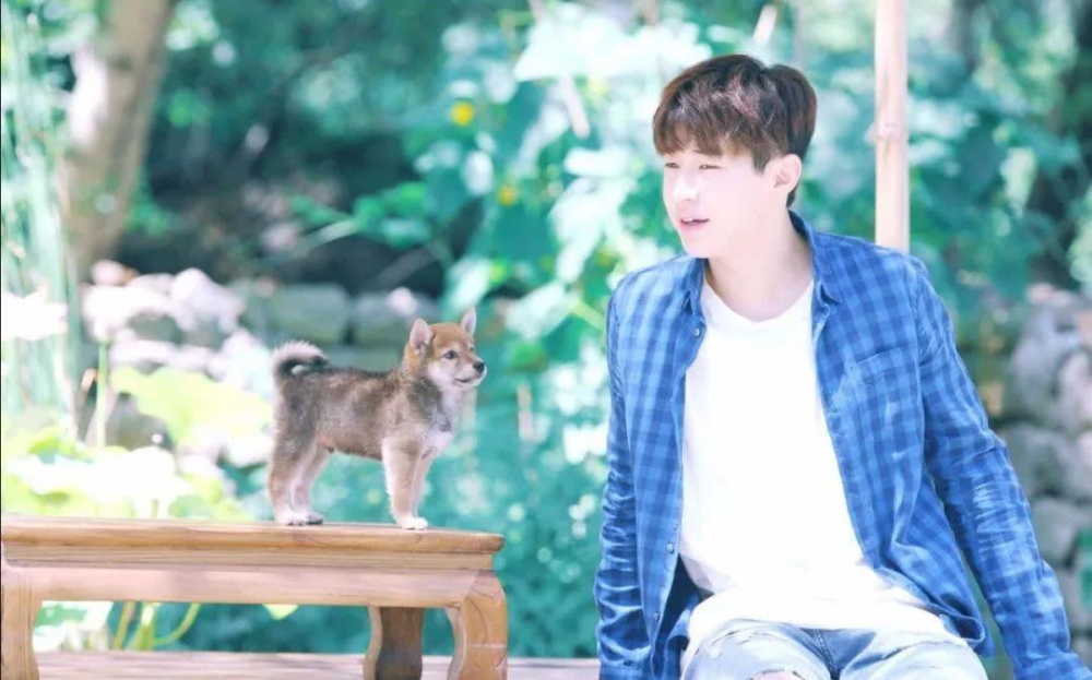 夏雪黃磊攜手演繹別樣精彩人生，新作品震撼來襲！???