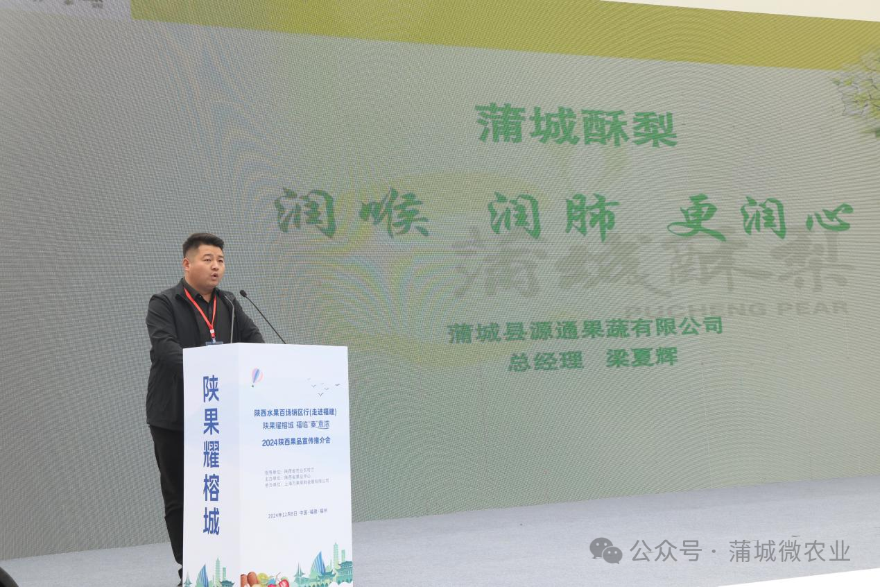 梨城資訊速遞，探索梨城新動態(tài)與發(fā)展趨勢