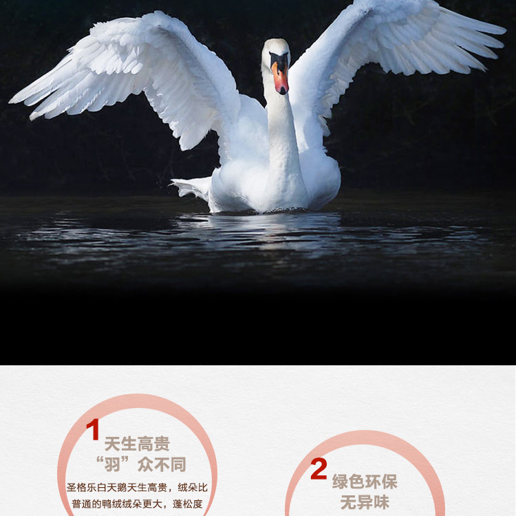 探索小巷羽絨寶藏，90白鵝絨價(jià)格與溫暖故事