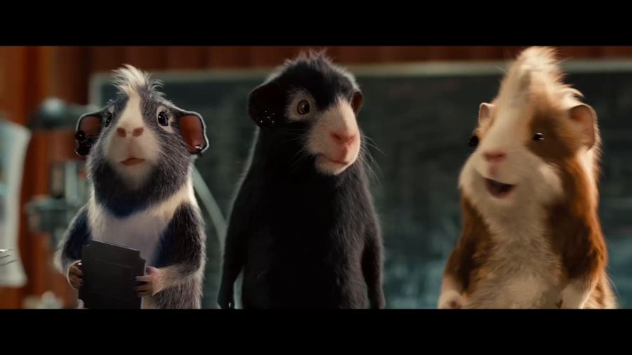 豚鼠電影,豚鼠電影，科技巨獻(xiàn)，重塑觀影體驗(yàn)