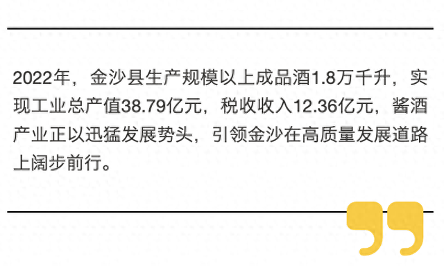 金沙未來繁榮藍(lán)圖，最新發(fā)展計(jì)劃揭秘