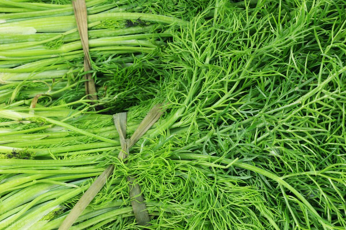 茴香價(jià)格動(dòng)態(tài)，香氣變化與你的關(guān)聯(lián)