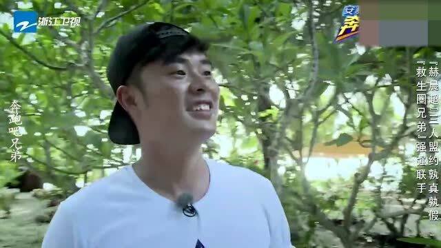 明星發(fā)脾氣背后的故事與深層理解