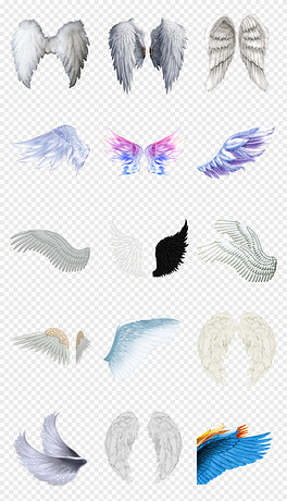 動漫翅膀繪制指南，從白紙起步，繪出飛翔的勵志翅膀！