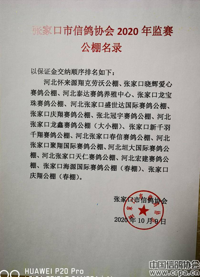 東光信鴿協會最新通告，小巷深處的獨特風味揭秘與信鴿活動更新通知