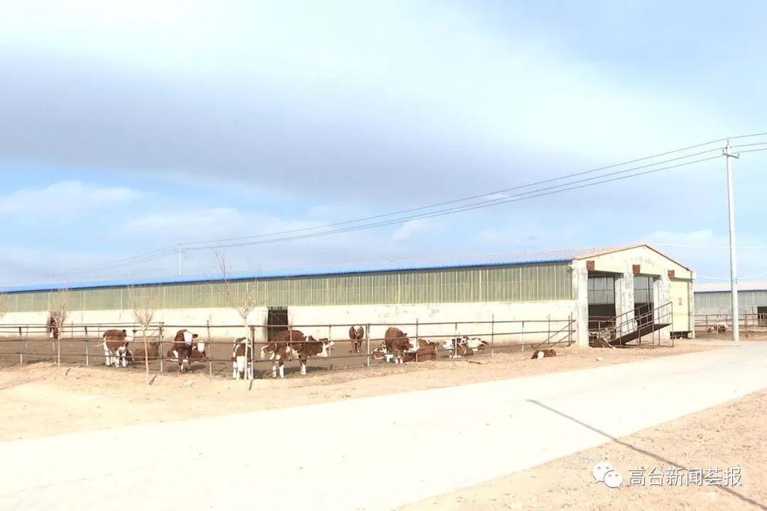 最新養(yǎng)殖場建設政策解讀，探索之旅啟程