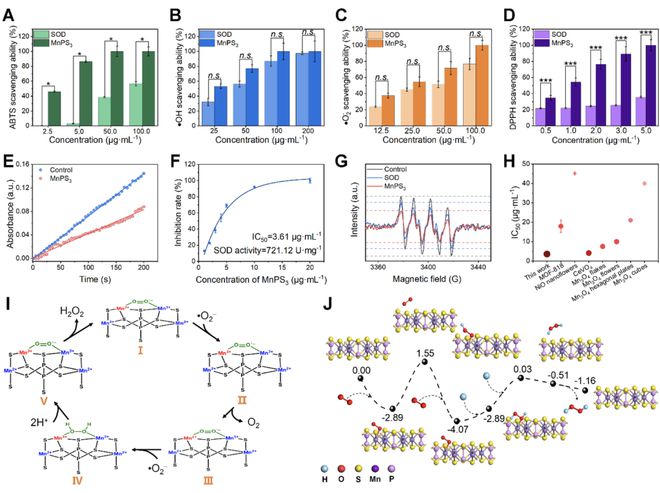 頭發(fā)再生研究新動(dòng)態(tài),頭發(fā)再生研究新動(dòng)態(tài)，小巷深處的秘密秀發(fā)實(shí)驗(yàn)室